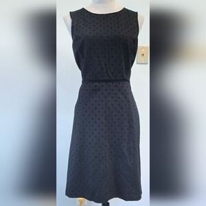 Talbots black polka dot fit & flare midi dress edged in velvet sz 8P